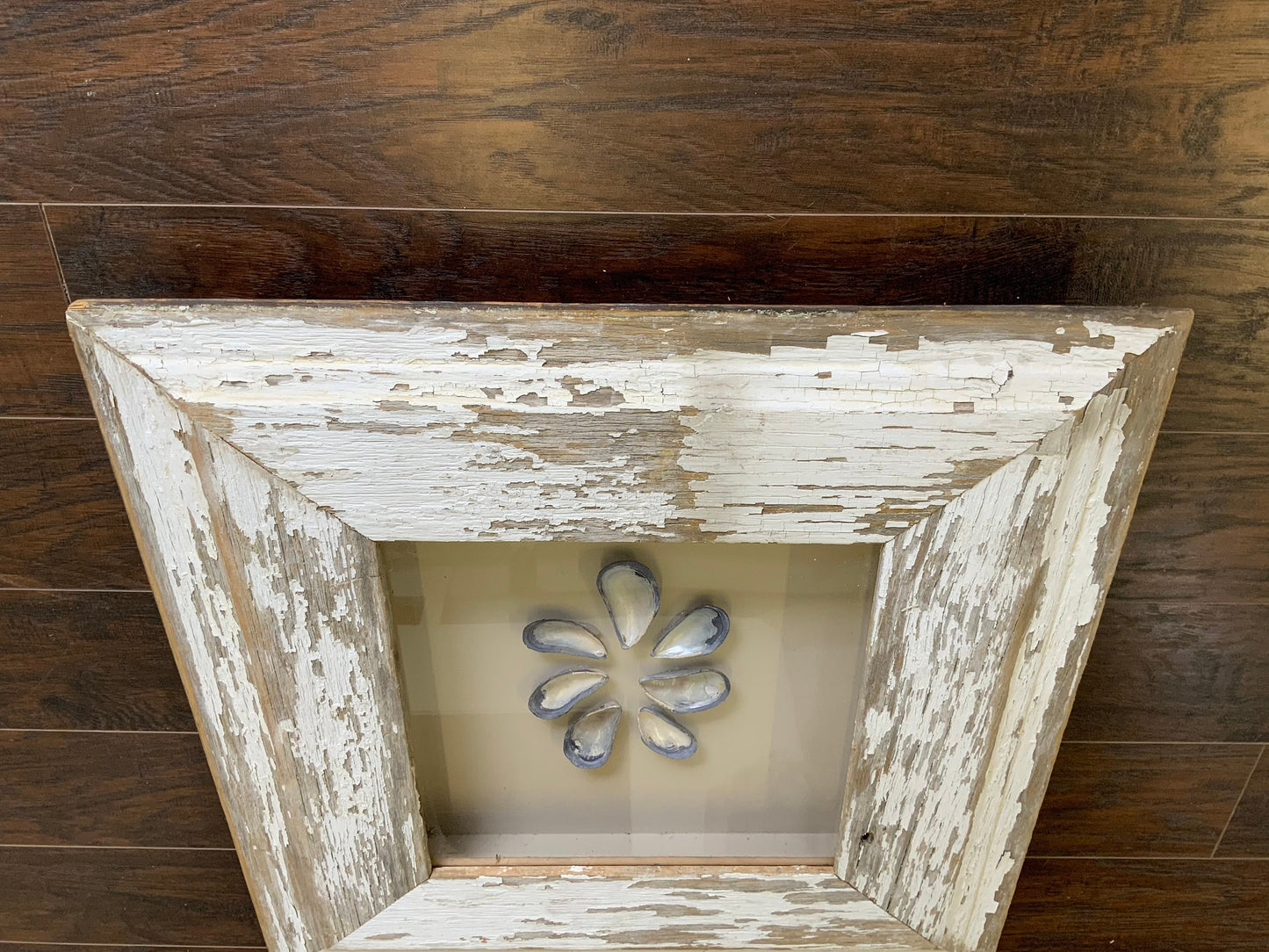 Med - Square Reclaimed Wood Shadow Box - 23” - Mussels