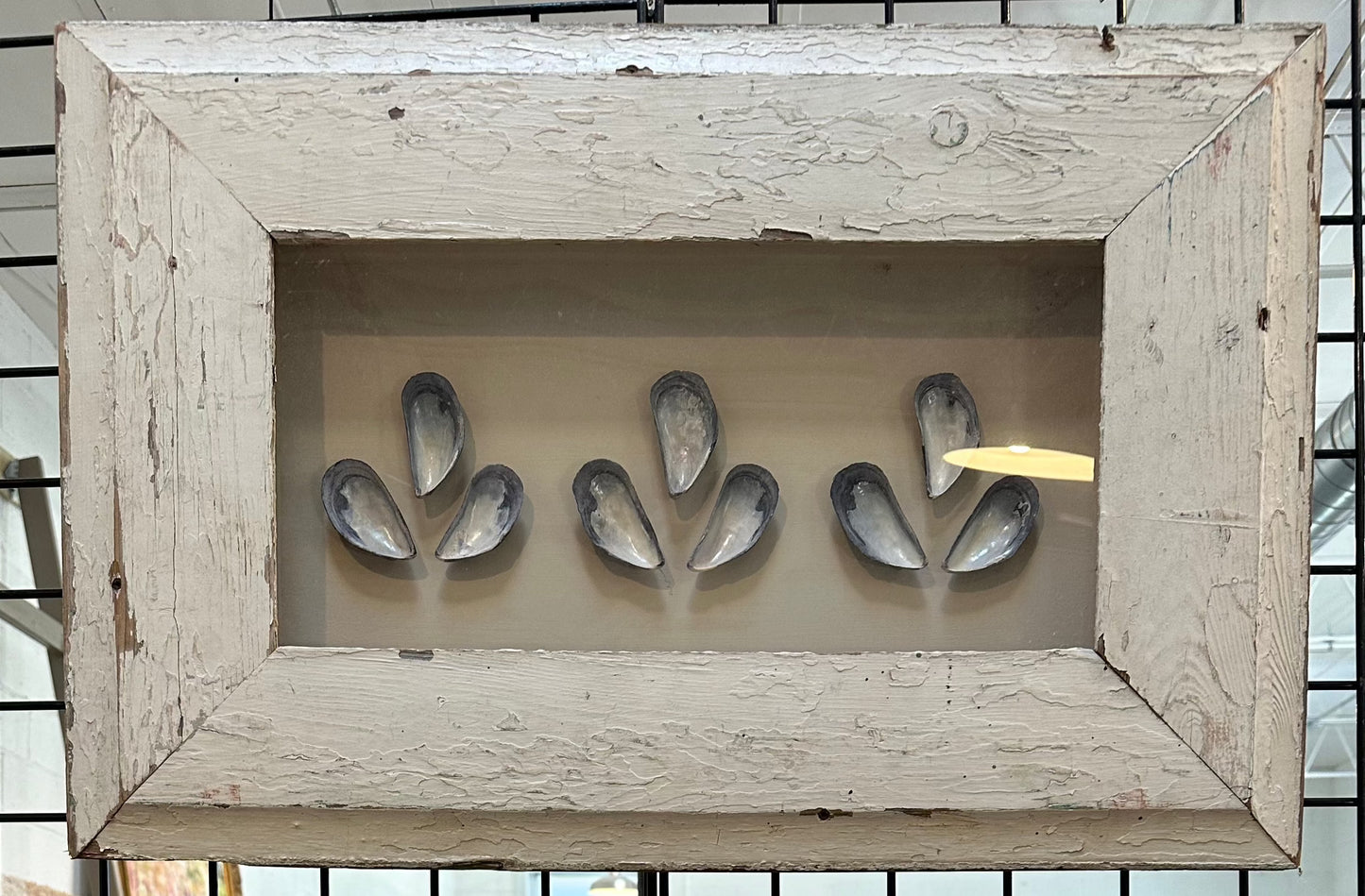 Med - Rectangle Reclaimed Wood Shadow Box - Mussels