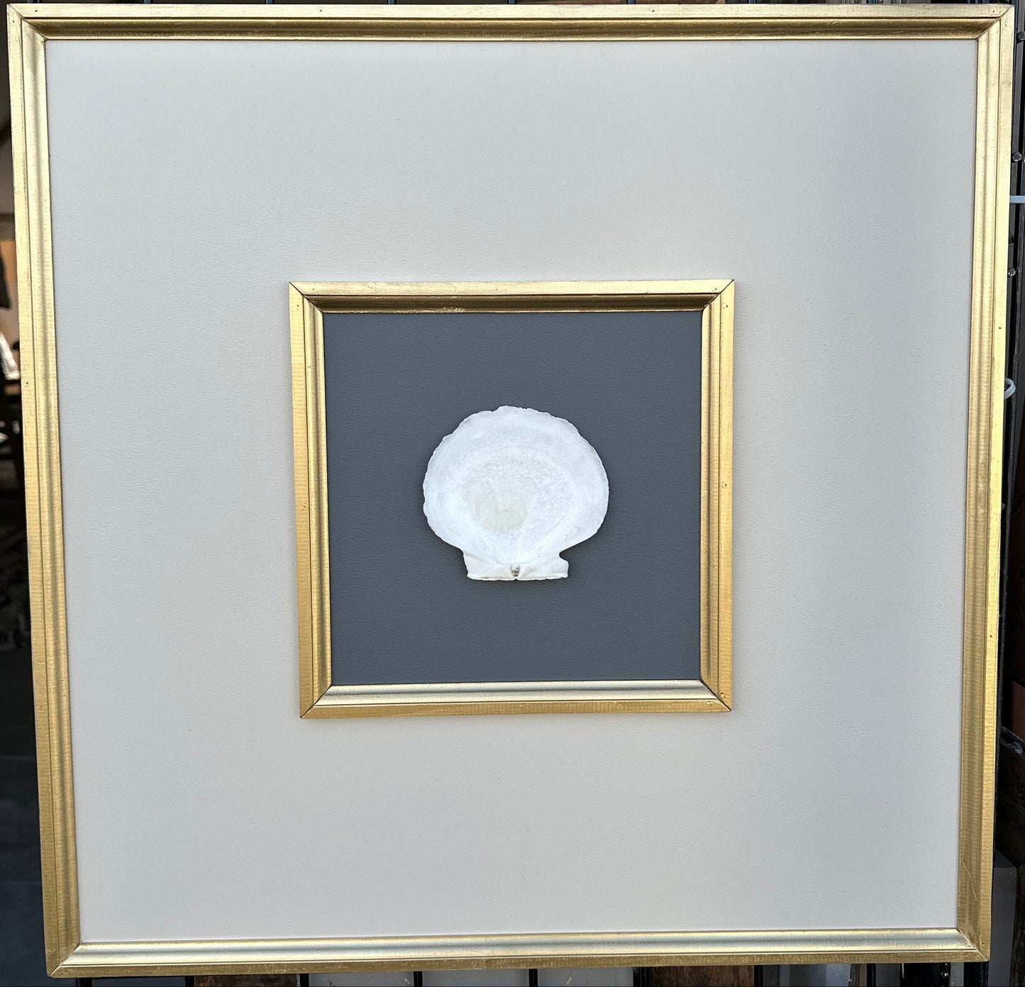 LG - Modern Design Shell Art - 24" - Sea Scallop