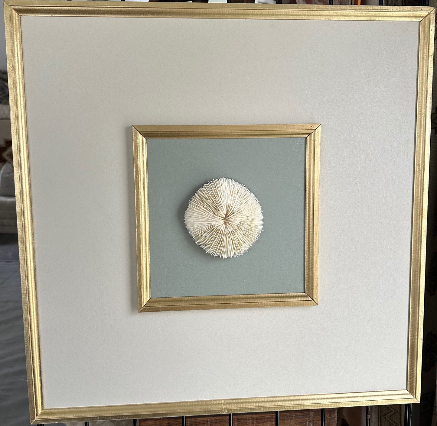 LG - Modern Design Shell Art - 24" - Sea Scallop