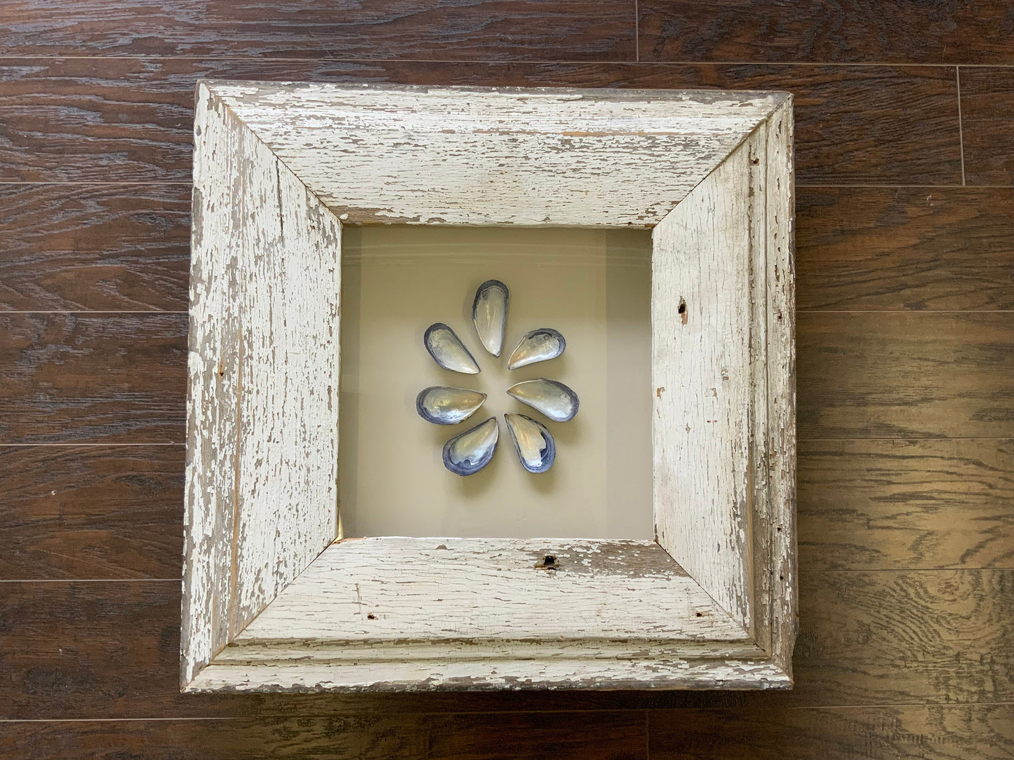 Med - Square Reclaimed Wood Shadow Box - 23” - Mussels