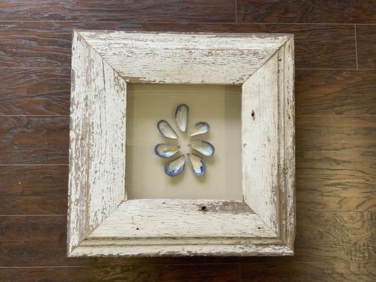 Med - Square Reclaimed Wood Shadow Box - 23” - Mussels