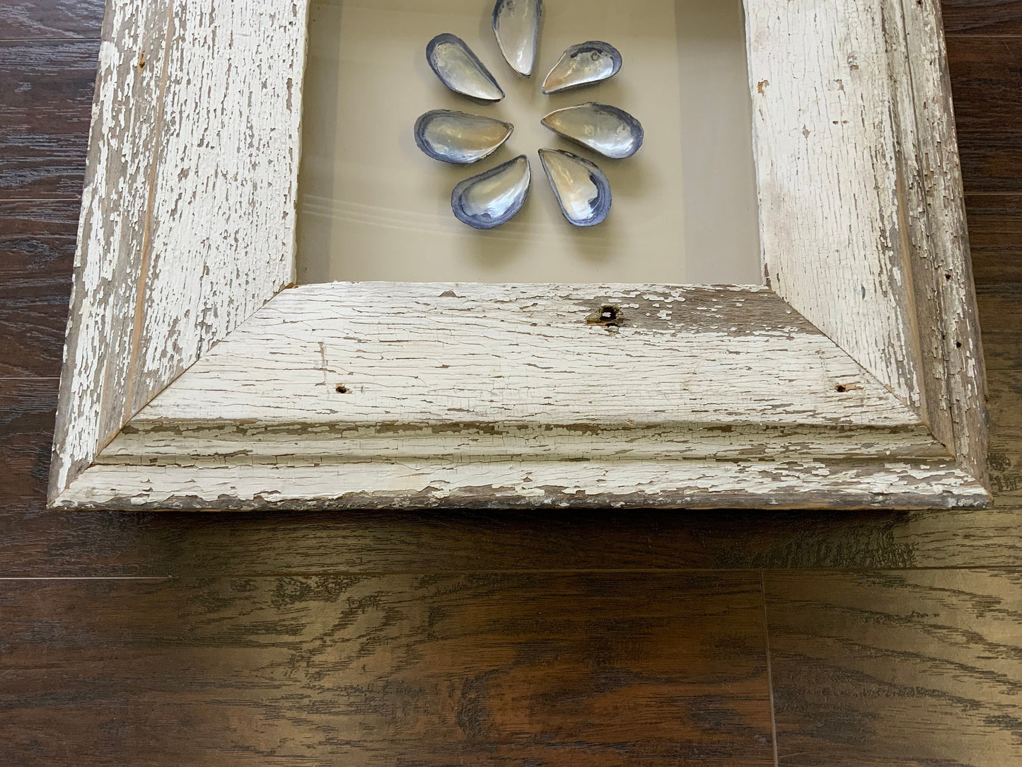 Med - Square Reclaimed Wood Shadow Box - 23” - Mussels