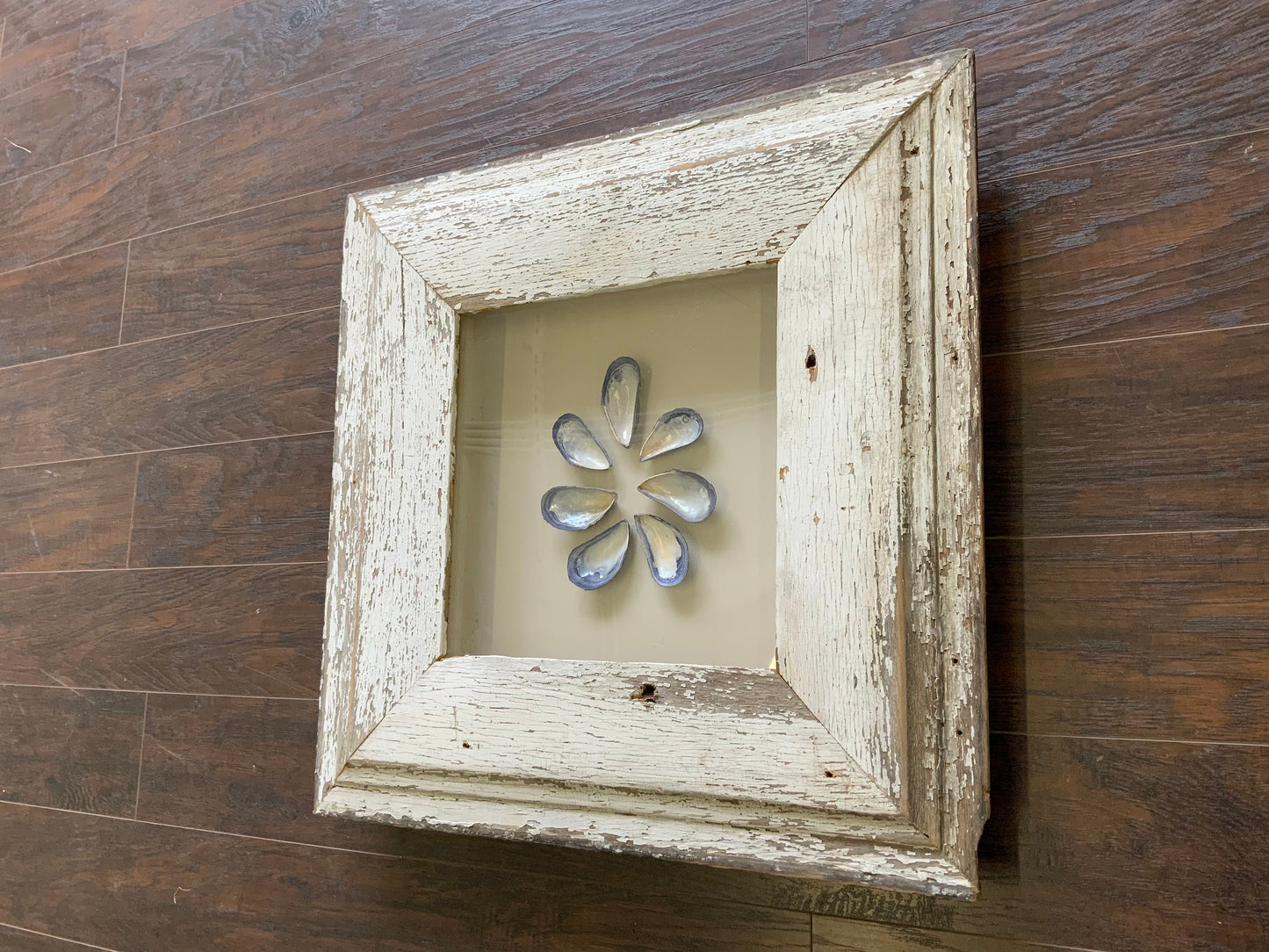 Med - Square Reclaimed Wood Shadow Box - 23” - Mussels