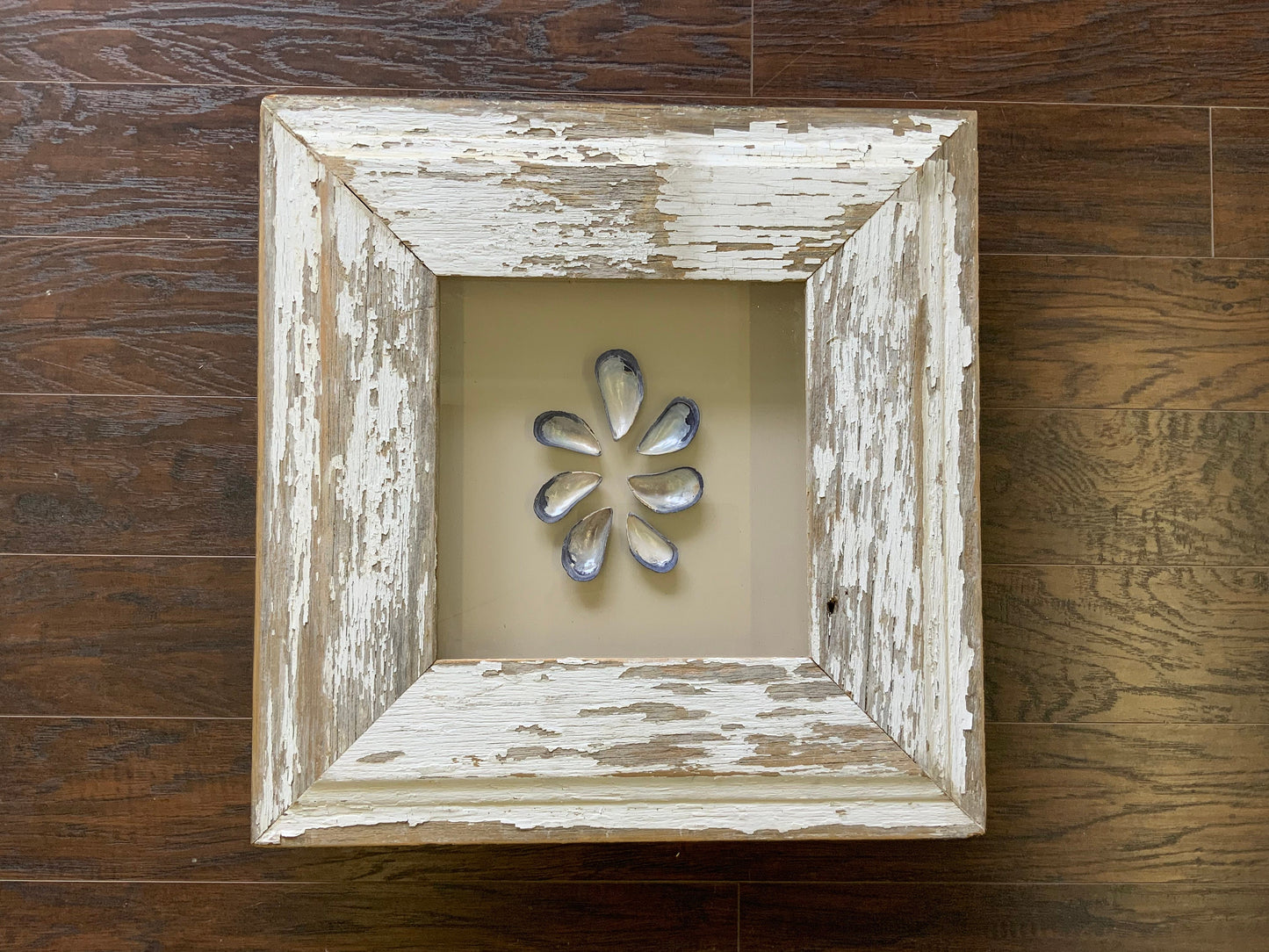 Med - Square Reclaimed Wood Shadow Box - 23” - Mussels