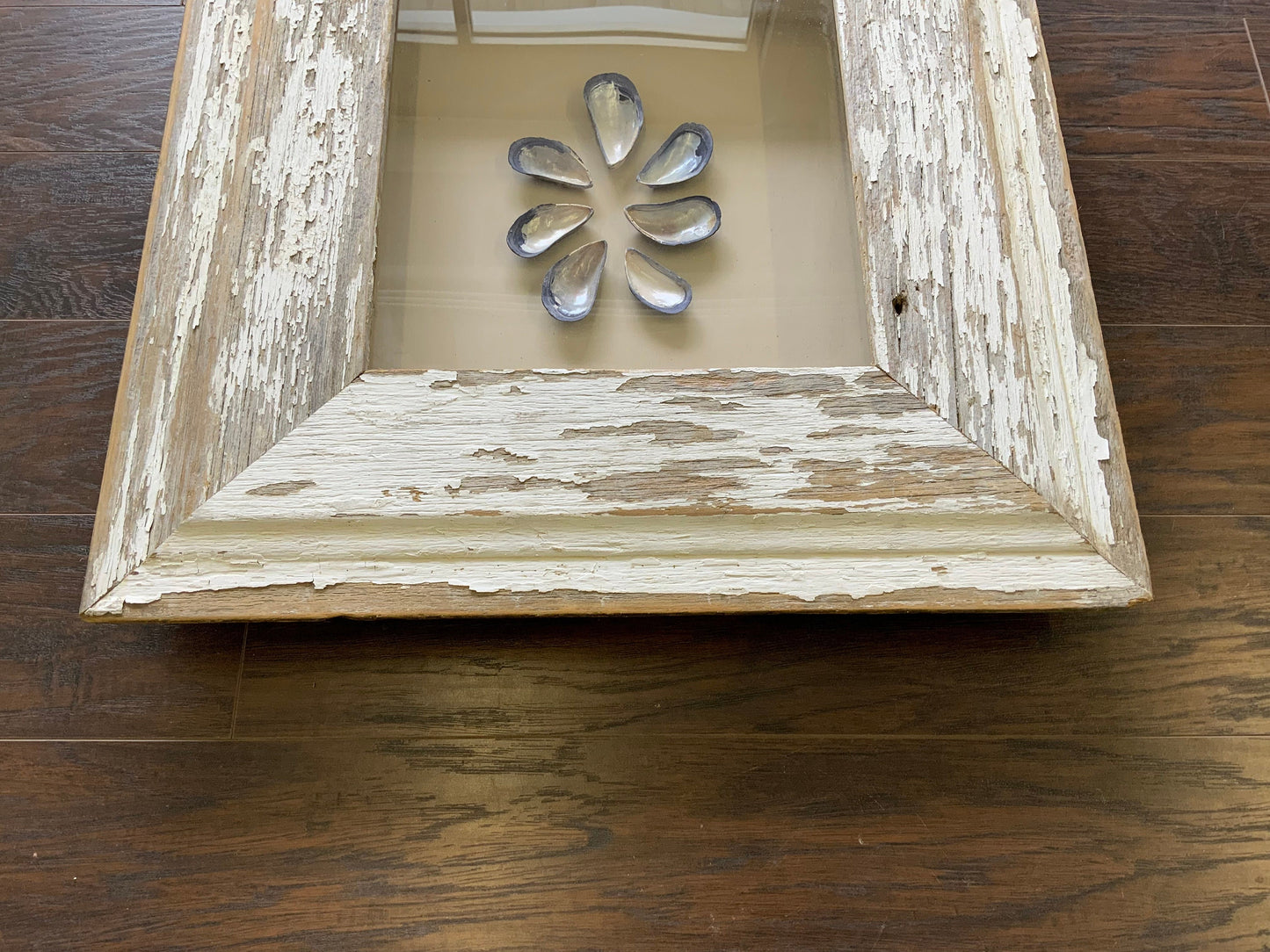 Med - Square Reclaimed Wood Shadow Box - 23” - Mussels