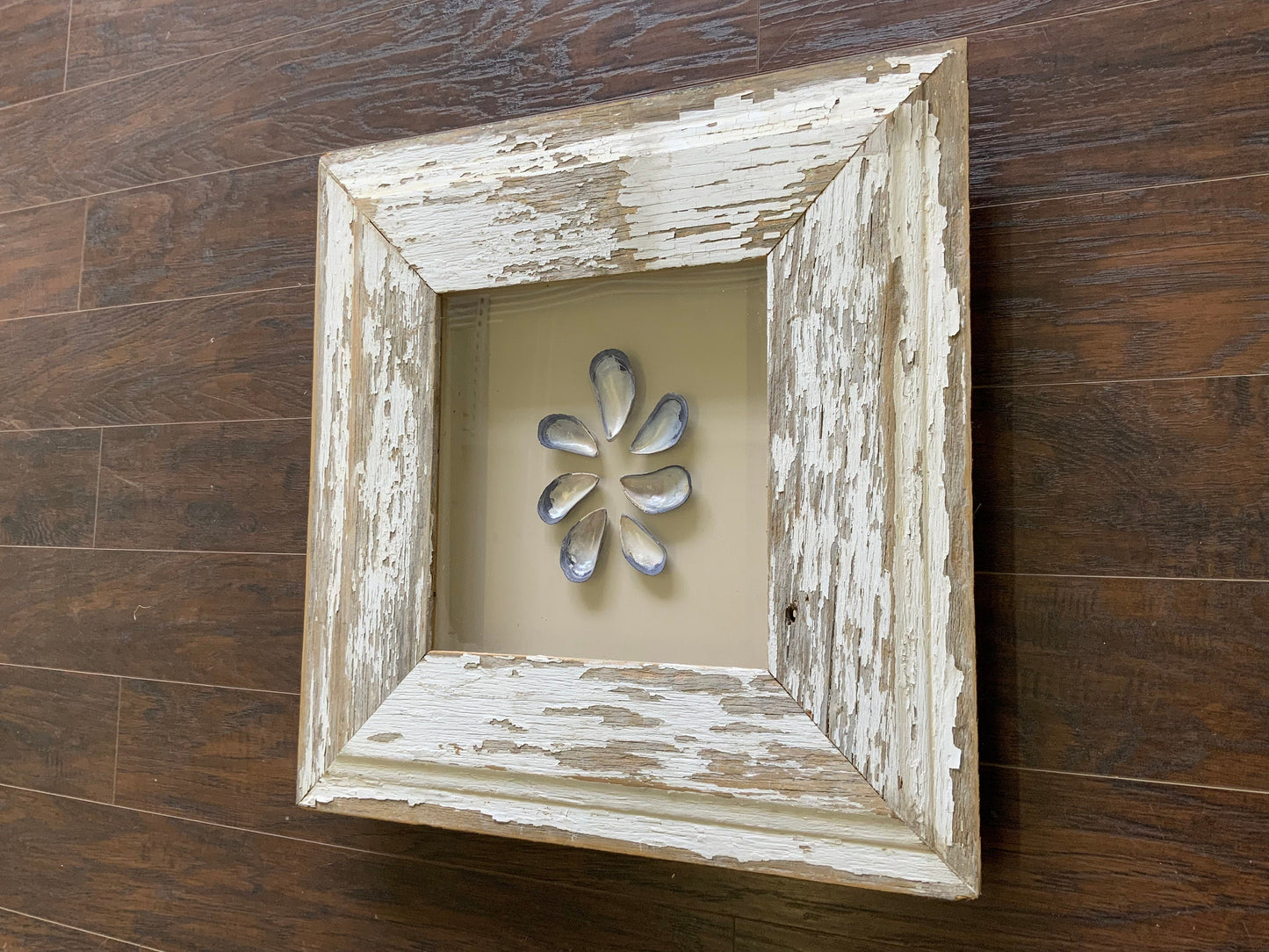 Med - Square Reclaimed Wood Shadow Box - 23” - Mussels