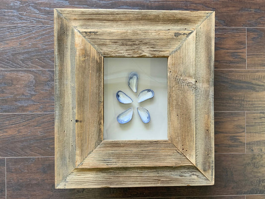 SM - Rectangle Reclaimed Wood Shadow Box - 18” x 20” - Mussels
