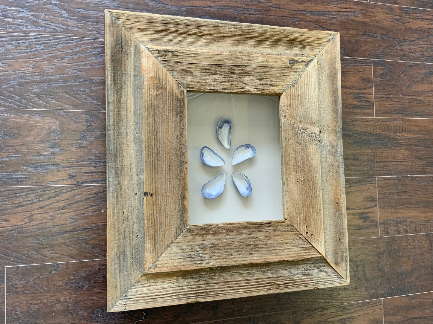 SM - Rectangle Reclaimed Wood Shadow Box - 18” x 20” - Mussels