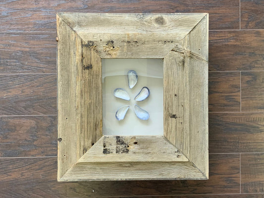 SM - Rectangle Reclaimed Wood Shadow Box - 18” x 20” - Mussels
