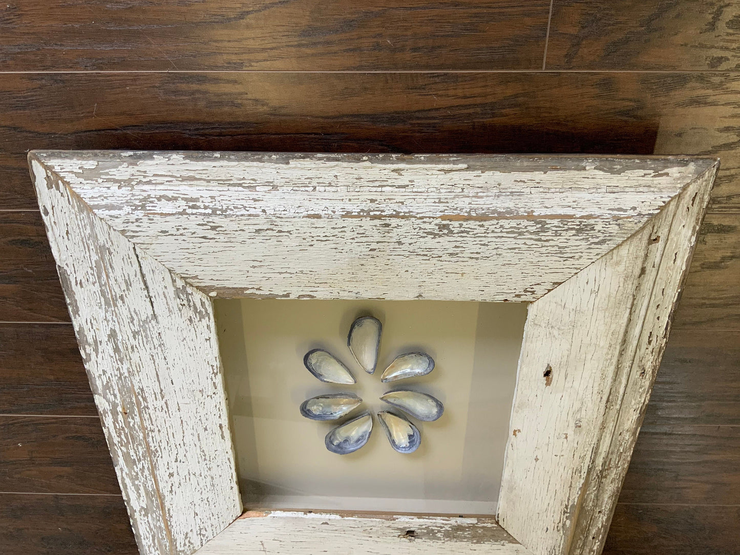Med - Square Reclaimed Wood Shadow Box - 23” - Mussels