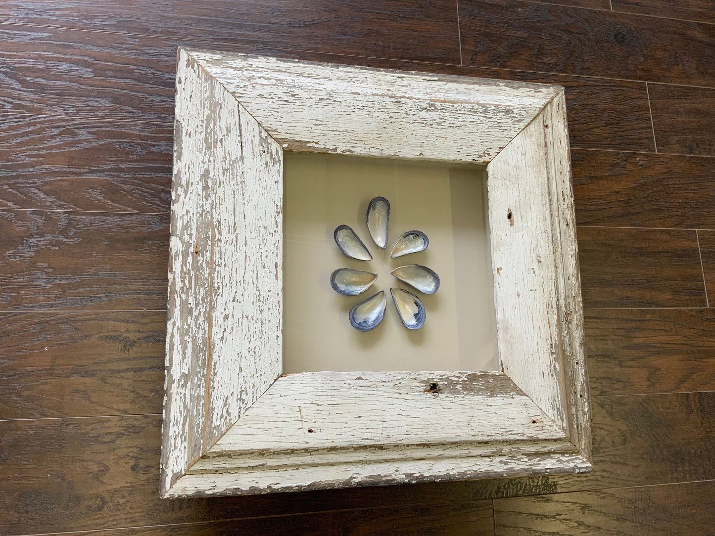 Med - Square Reclaimed Wood Shadow Box - 23” - Mussels