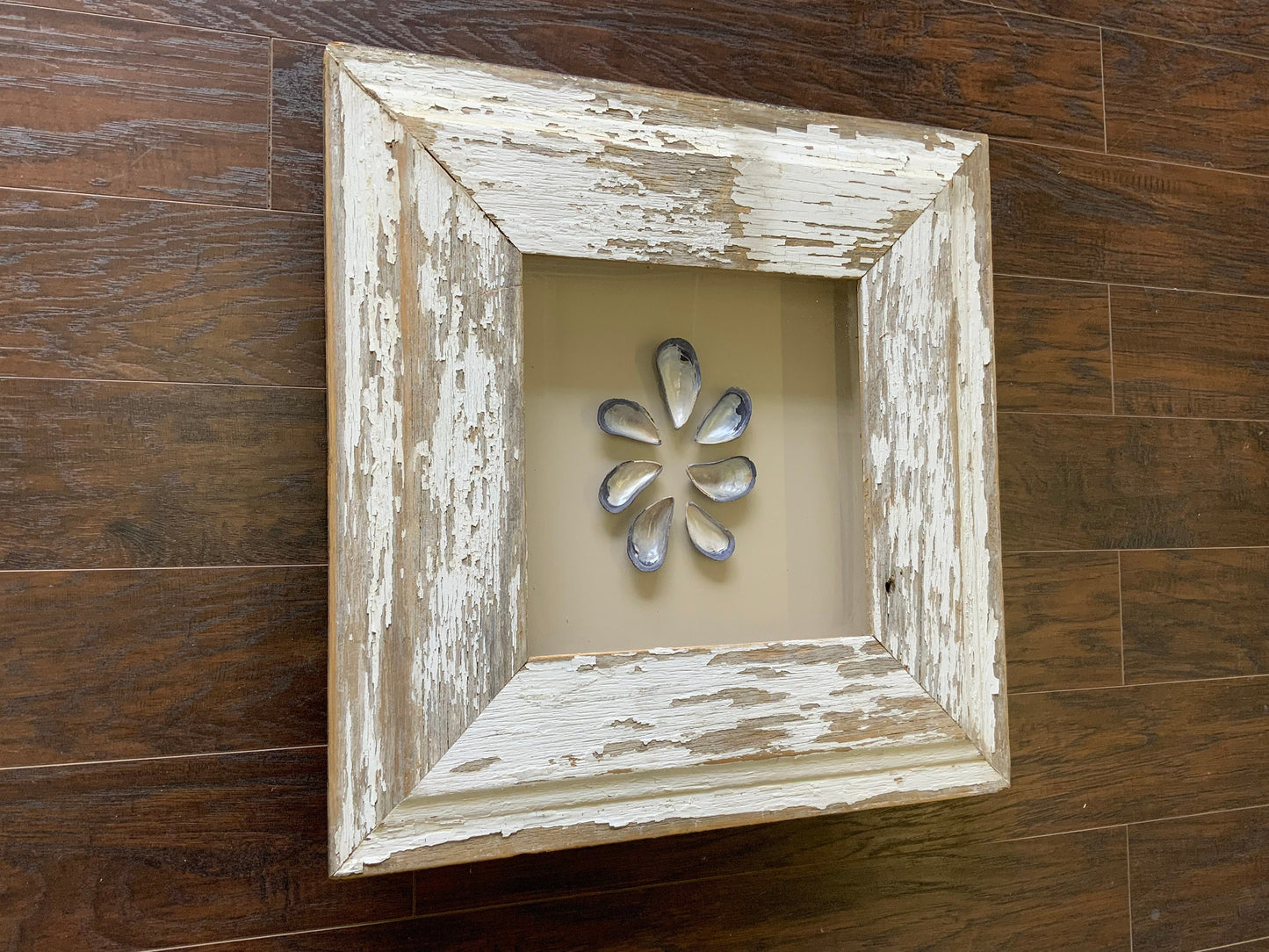 Med - Square Reclaimed Wood Shadow Box - 23” - Mussels