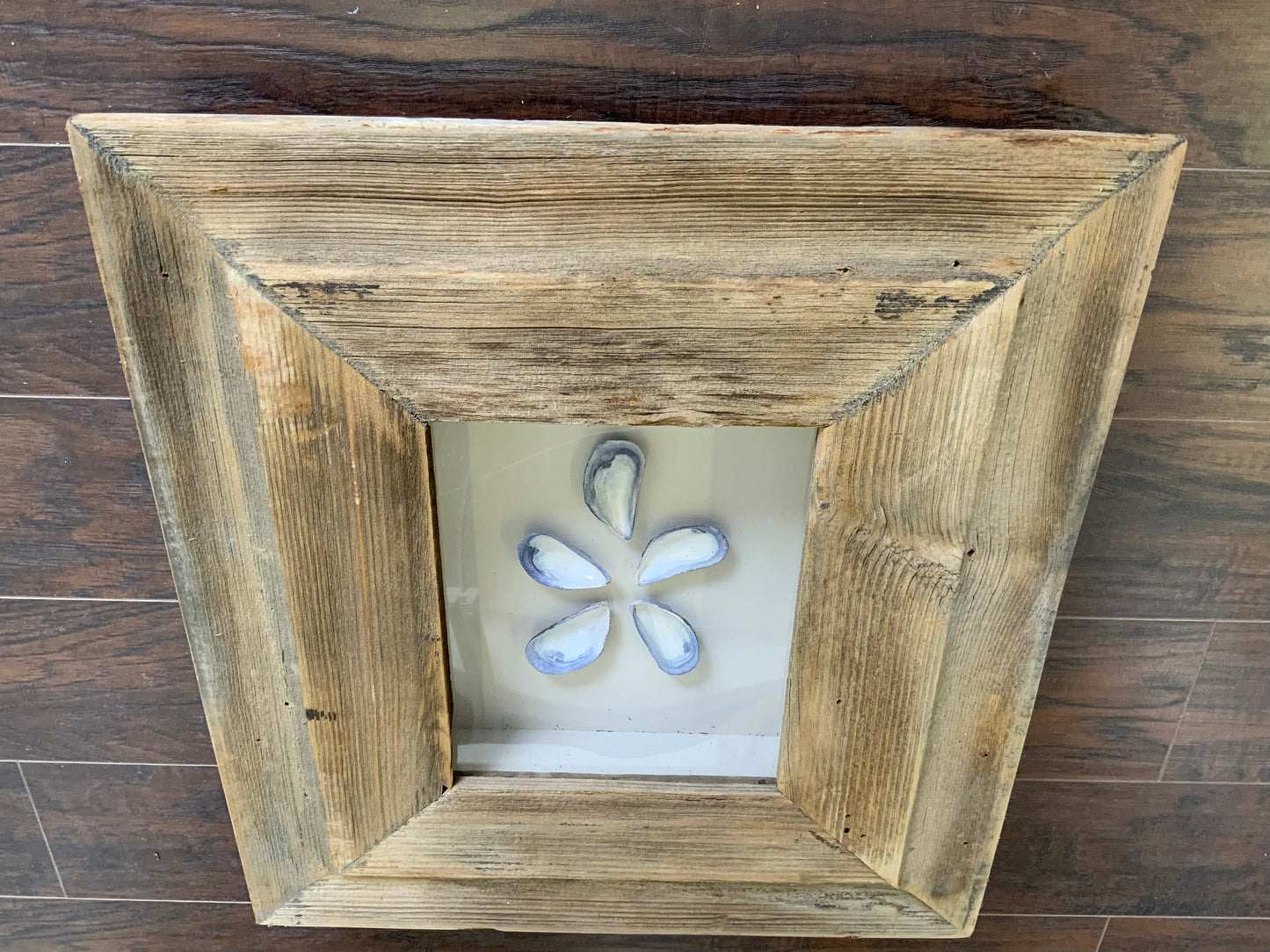 SM - Rectangle Reclaimed Wood Shadow Box - 18” x 20” - Mussels