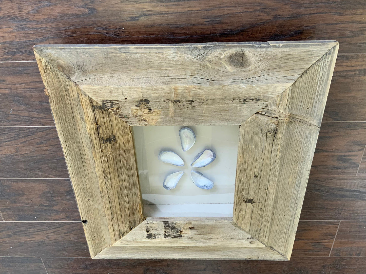 SM - Rectangle Reclaimed Wood Shadow Box - 18” x 20” - Mussels